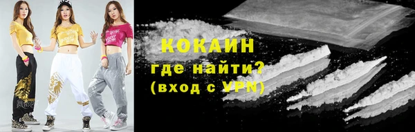 сатива Лихославль