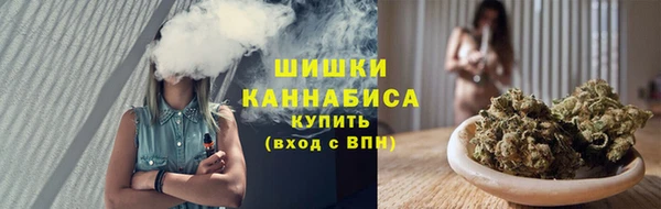 сатива Лихославль