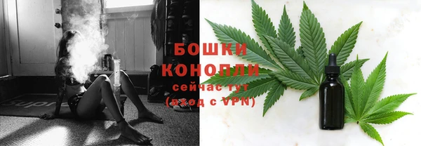 сатива Лихославль