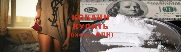 сатива Лихославль