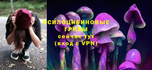 сатива Лихославль