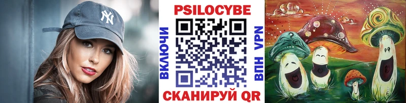 Купить закладки  Отрадный  Галлюциногенные грибы MAGIC MUSHROOMS 